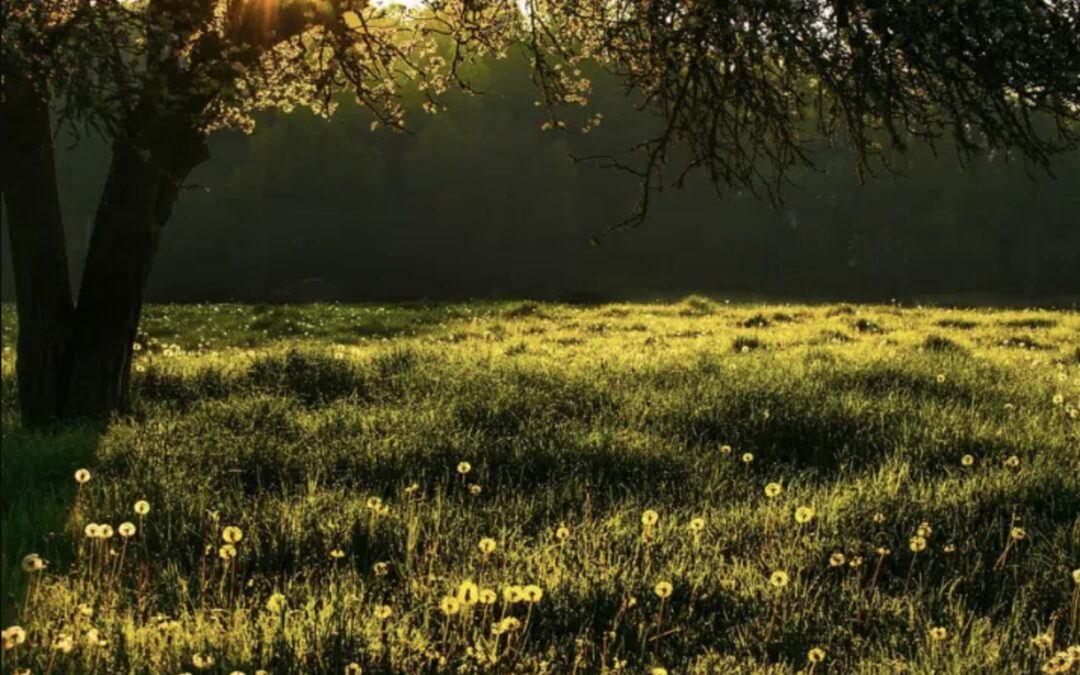 La délicate notion d’abus spirituel